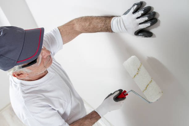 Best Asbestos and Lead Testing During Mold Inspection  in Ixonia, WI