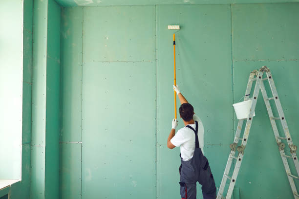 Professional Mold Removal in Ixonia, WI