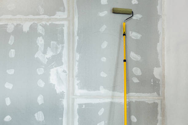 Best Mold Remediation for Rental Properties  in Ixonia, WI