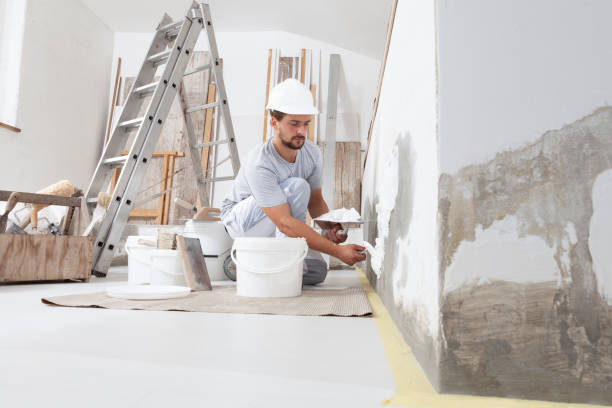 Best Residential Mold Inspection & Testing  in Ixonia, WI