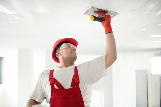 Best Dehumidification Services  in Ixonia, WI