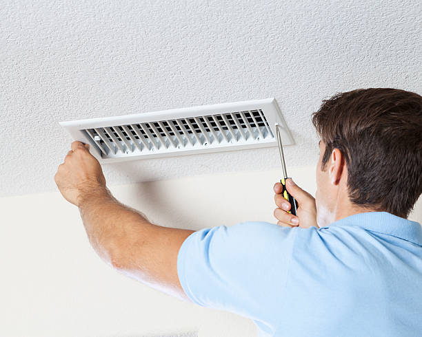 Best Basement Mold Removal  in Ixonia, WI
