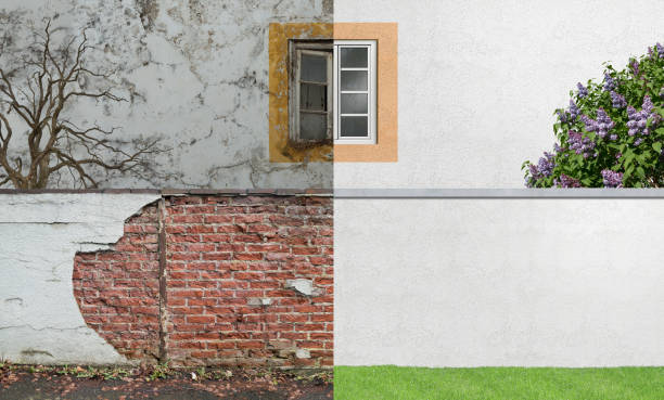 Best Mold Damage Restoration  in Ixonia, WI